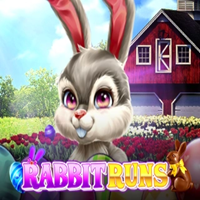 Rabbit Runs